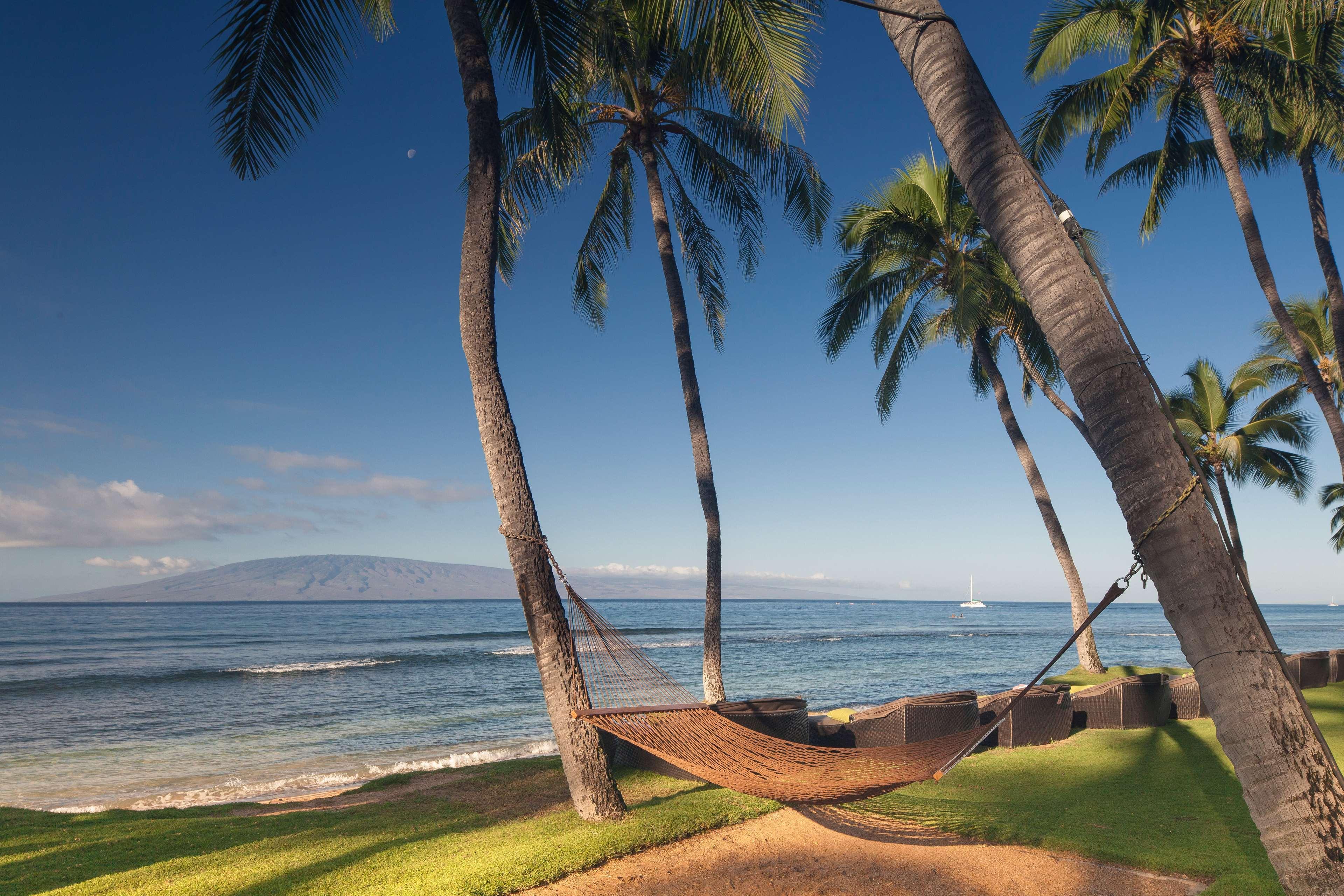Hyatt Regency Maui Resort&Spa Lāhainā Exterior foto